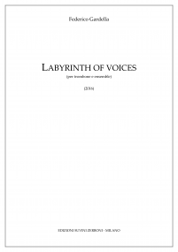 Labyrinth of voices